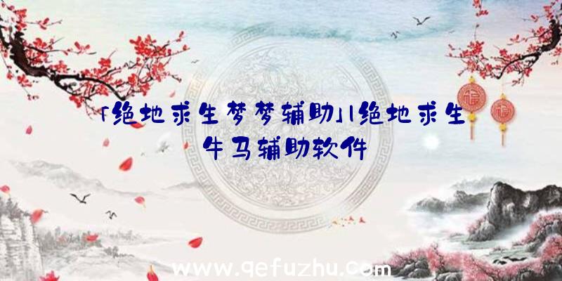 「绝地求生梦梦辅助」|绝地求生牛马辅助软件
